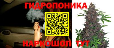 не бодяженный Донецк