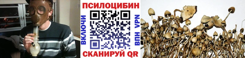 Галлюциногенные грибы Cubensis  Истра 