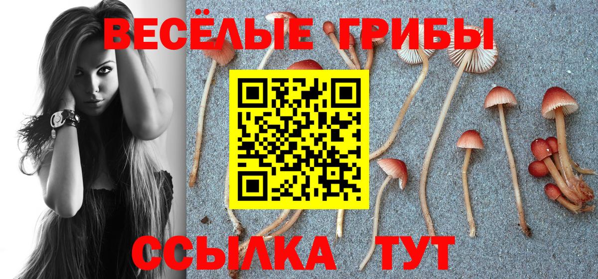 продажа наркотиков  Вход с VPN  Истра  Псилоцибиновые грибы Psilocybe  Галлюциногенные грибы ЛСД 